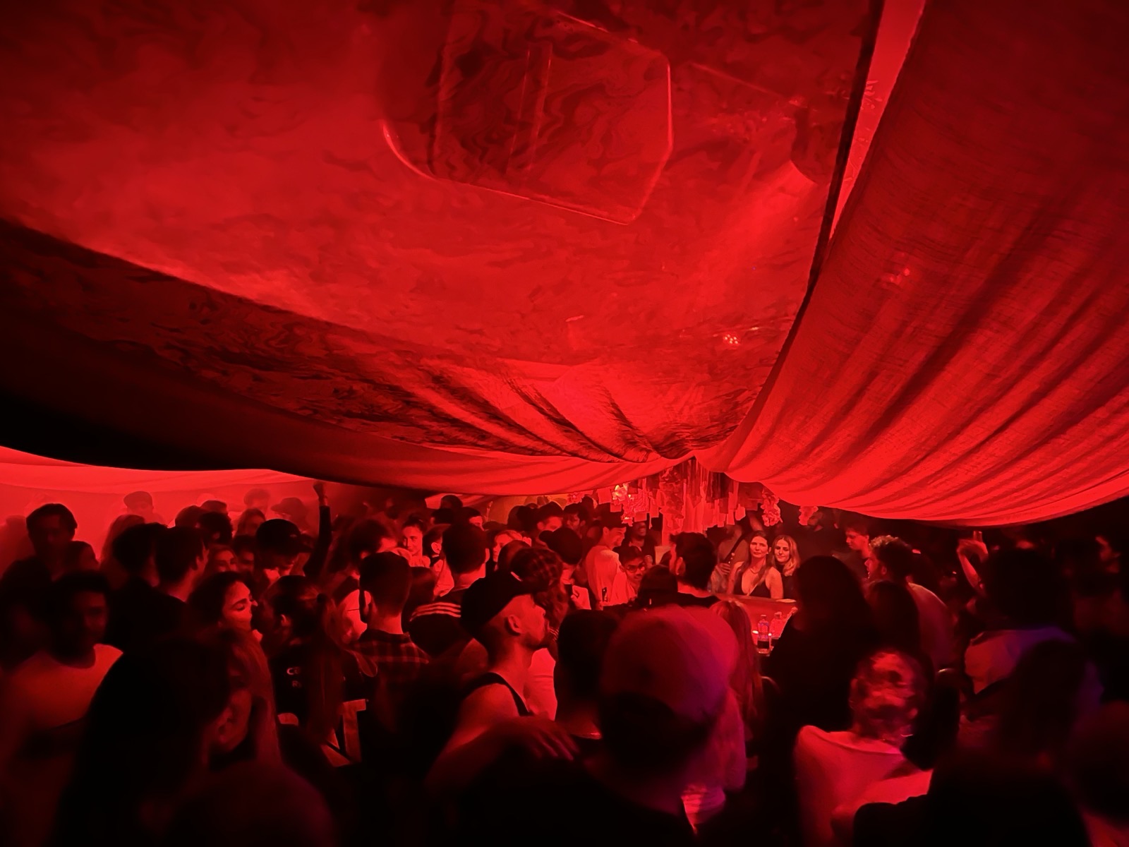 Under the Canopy